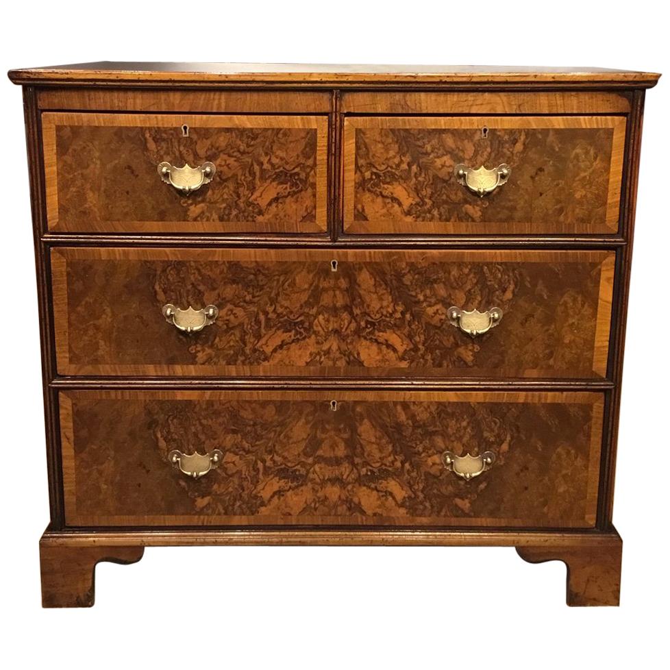 Burr Walnut Georgian Style Antique Chest of Drawers by Heals of London