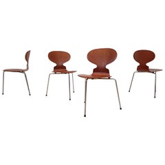 Early Model 3100 'Ant' Chairs by Arne Jacobsen for Fritz Hansen, Designed 1952