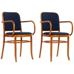 Set di cinque sedie da pranzo in legno curvato in stile Josef Hoffmann