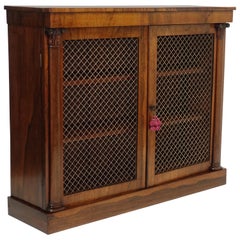 Regency Rosewood Bookcase Cabinet, English 19th Century