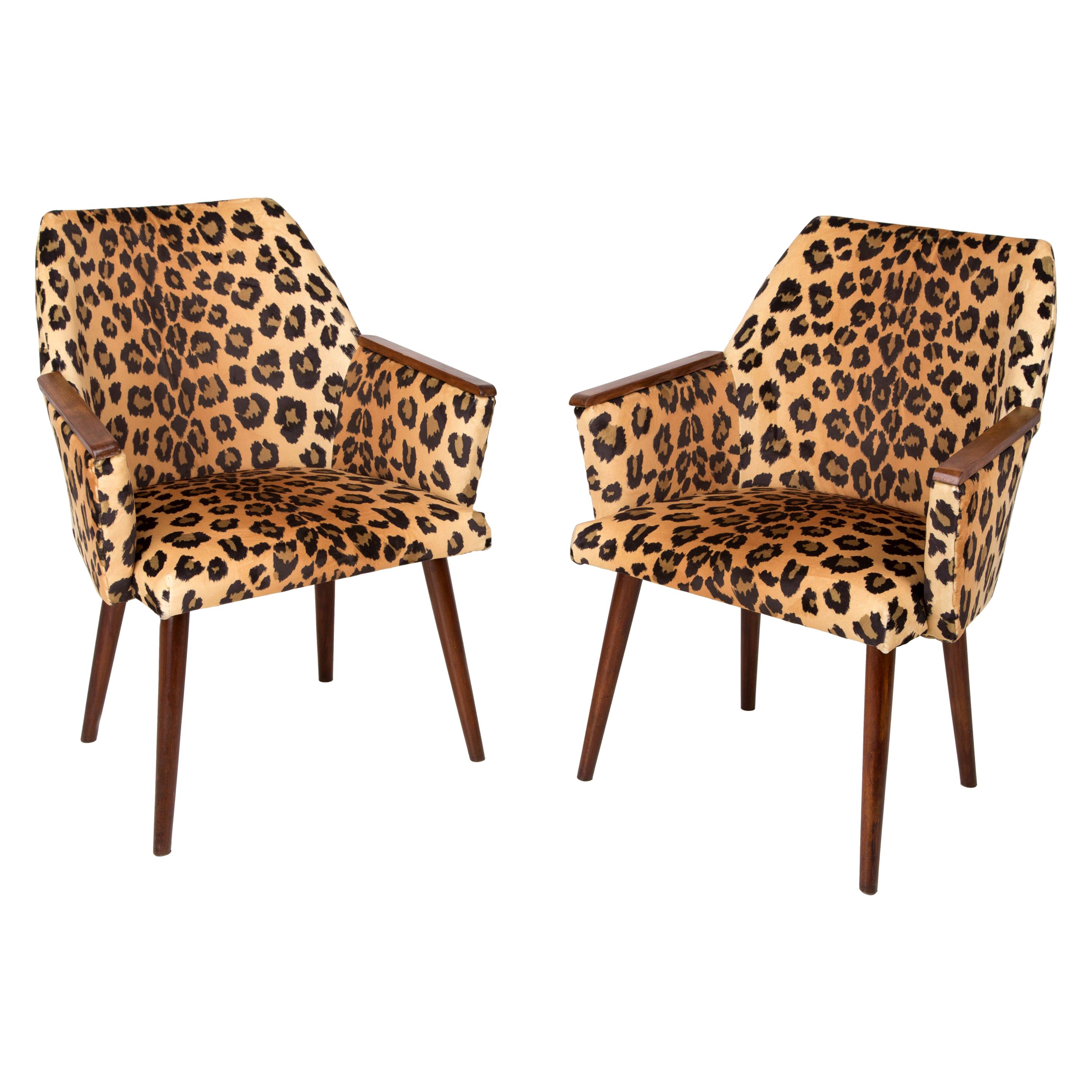 Set of Two Mid-Century Modern Leopard Print Chairs, 1960s, Germany