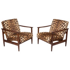 Vintage Pair of Leopard Print Velvet Armchairs, Edmund Homa, GFM-142, 1960s, Poland