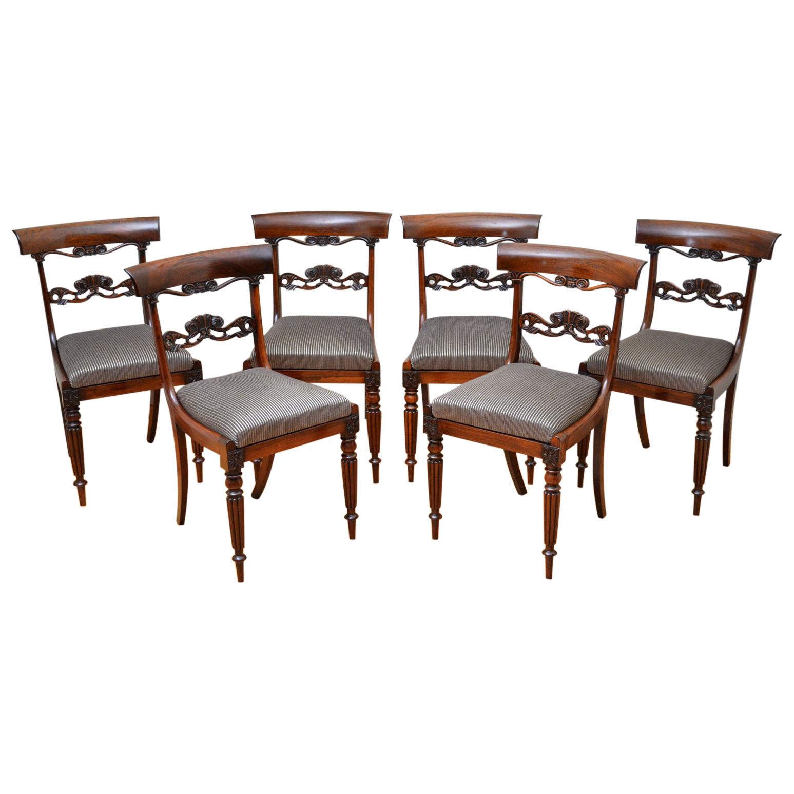 Superb Set of Six William IV Rosewood Dining Chairs