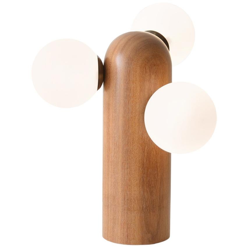 Originelle und authentische Contemporary Tischlampe aus Holz