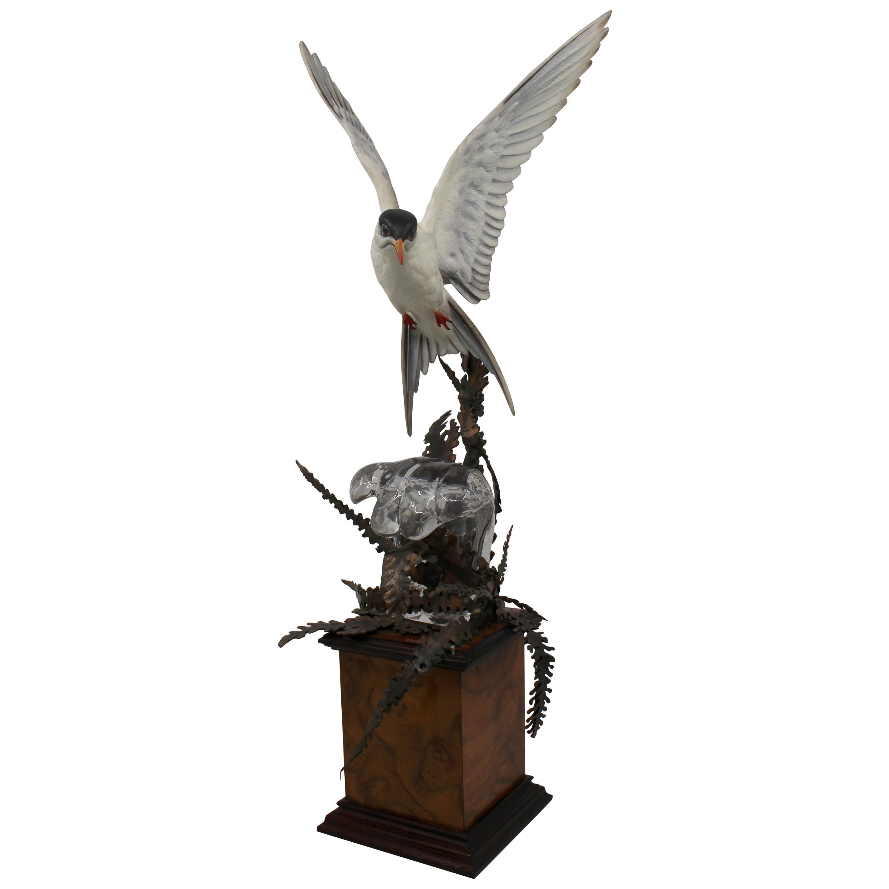 Albany David Burnham-Smith Sculpture Arctic Tern For Sale