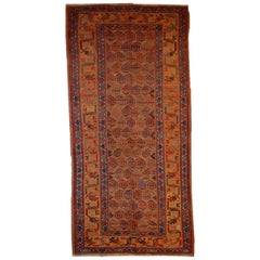 Handmade Antique Kurdish Style Rug, 1880s, 1B413