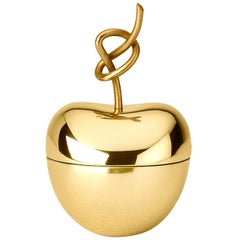 Ghidini 1961 Knotted Cherry Small Box in Brass by Nika Zupanc