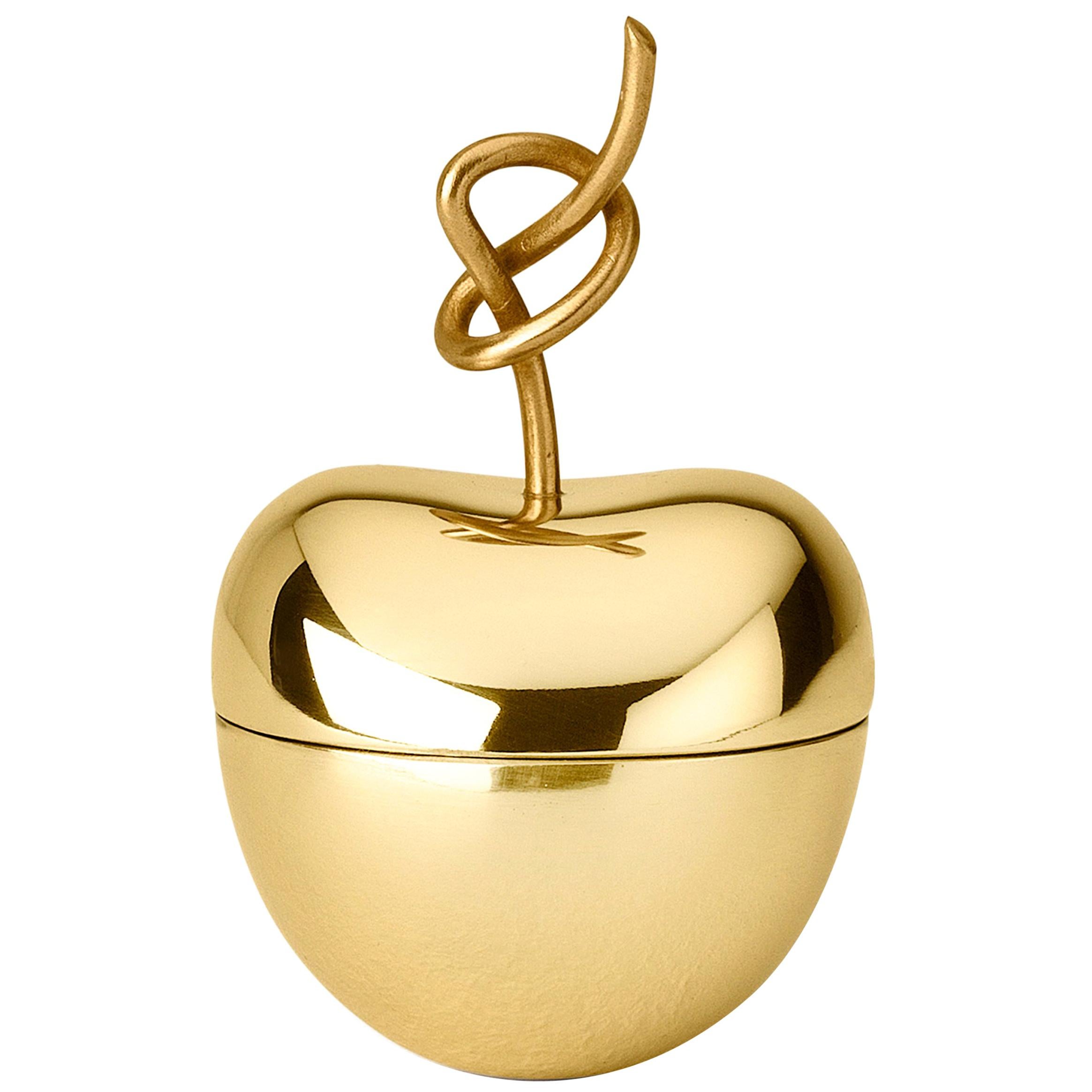 Ghidini 1961 Knotted Cherry Medium Box in Brass by Nika Zupanc