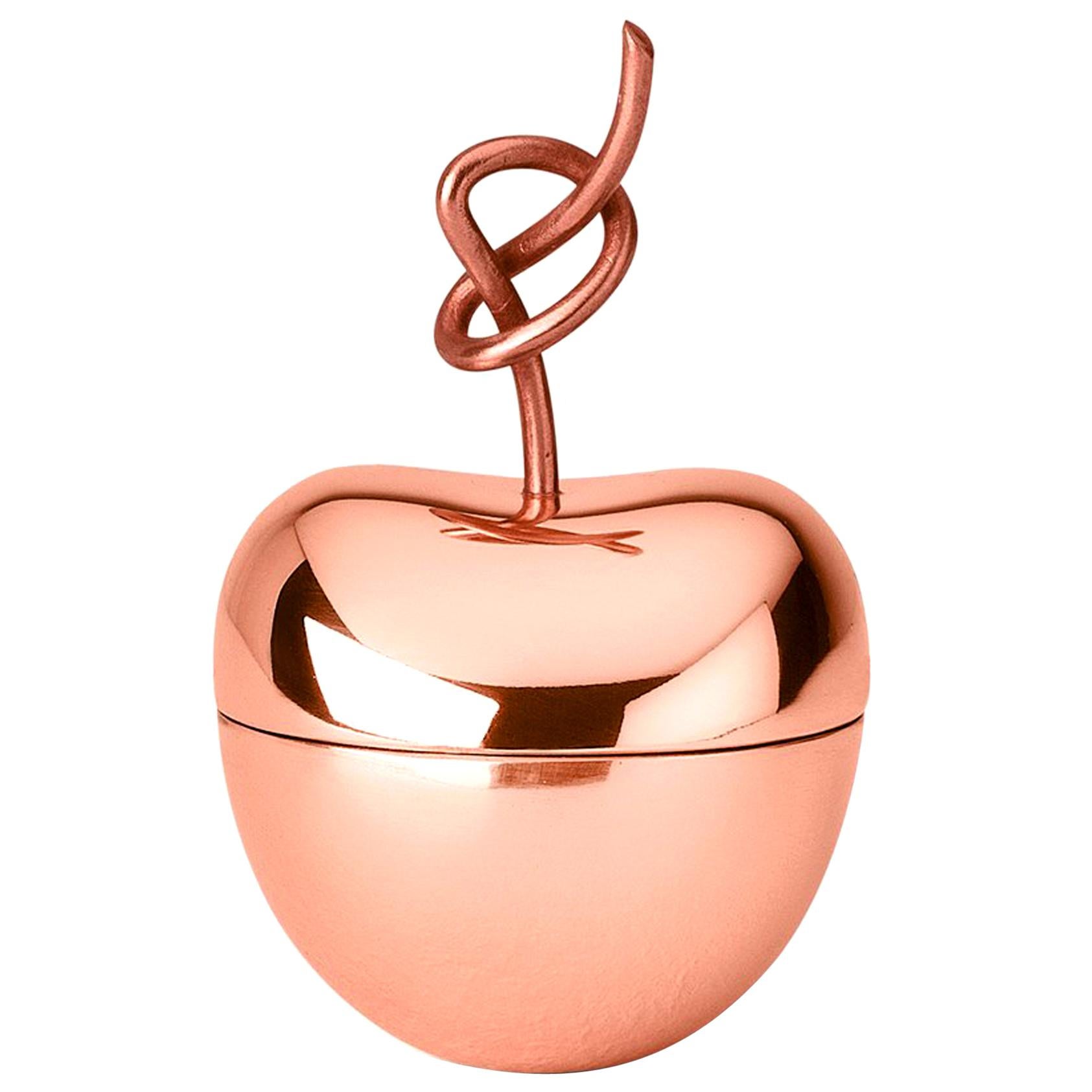 Ghidini 1961 Knotted Cherry Small Box in Copper-Plated Brass by Nika Zupanc
