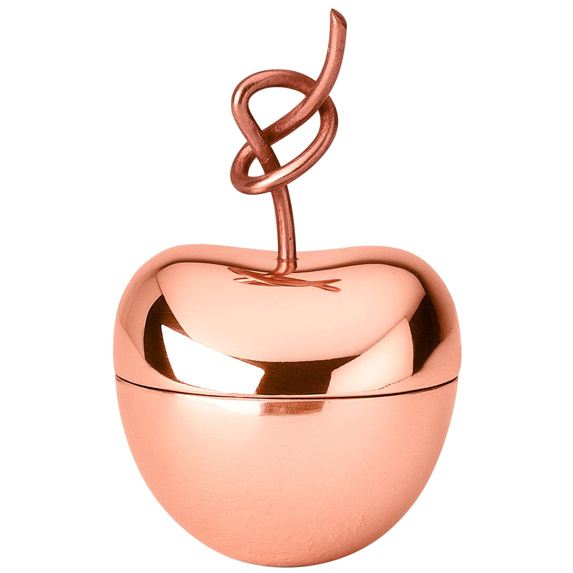 Ghidini 1961 Knotted Cherry Medium Box in Copper-Plated Brass by Nika Zupanc