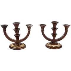 Pair of 19th Century Rosewood and Quill Candelabra