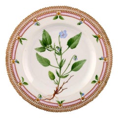 Royal Copenhagen Flora Danica Dinner Plate # 20/3549