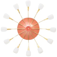 Retro Large Midcentury Wall or Ceiling Sputnik Lamp with 12 Arms, 1950s