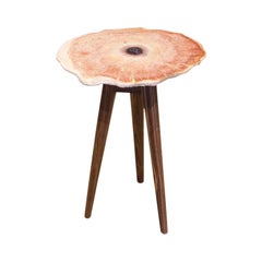 Andrianna Shamaris Petrified Wood Side Table