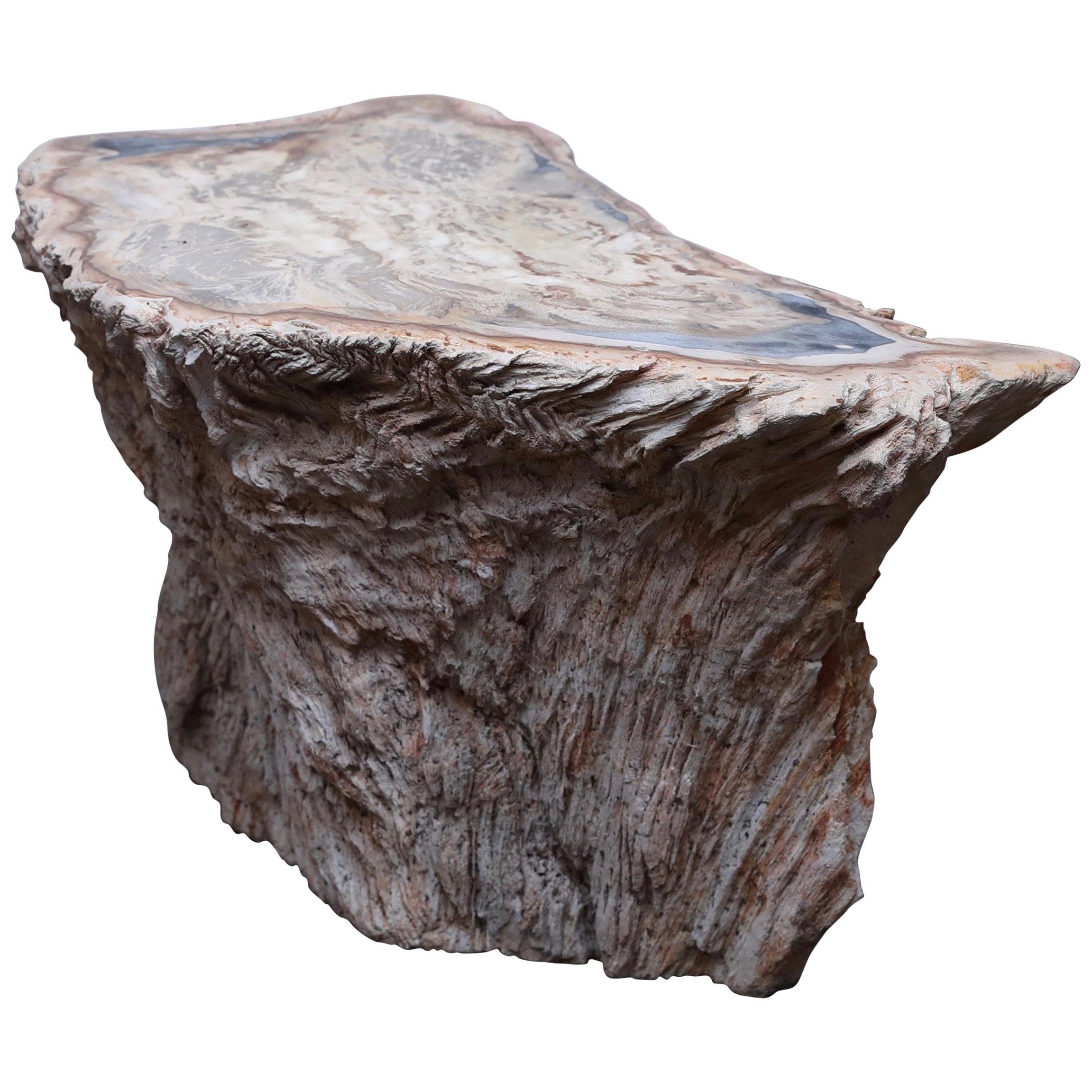 Petrified Wood Side Table