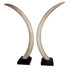 Life-Size Vintage Faux Elephant Tusks