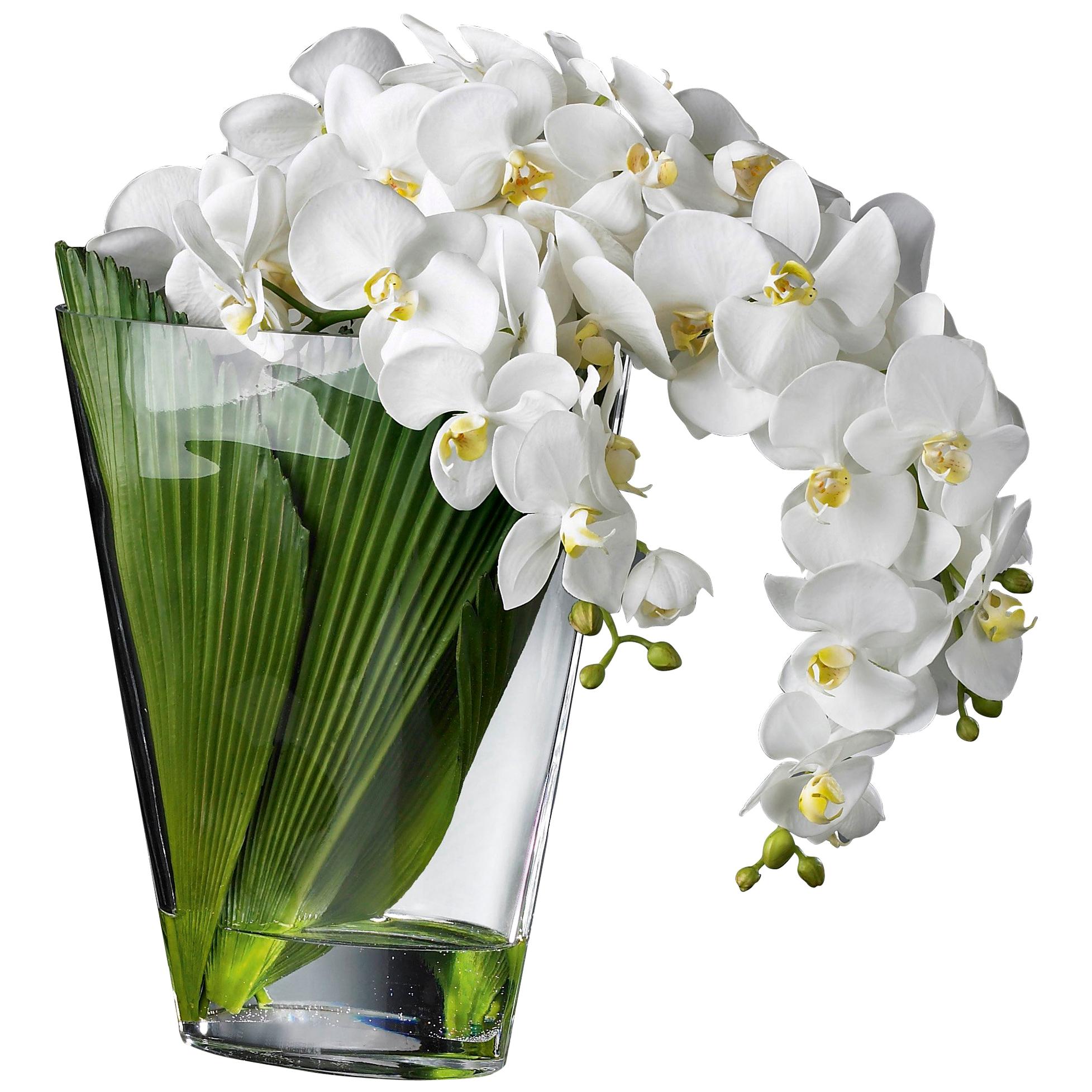 Eternity Phaleno Cascade Set Arrangement, Flowers, Italy For Sale