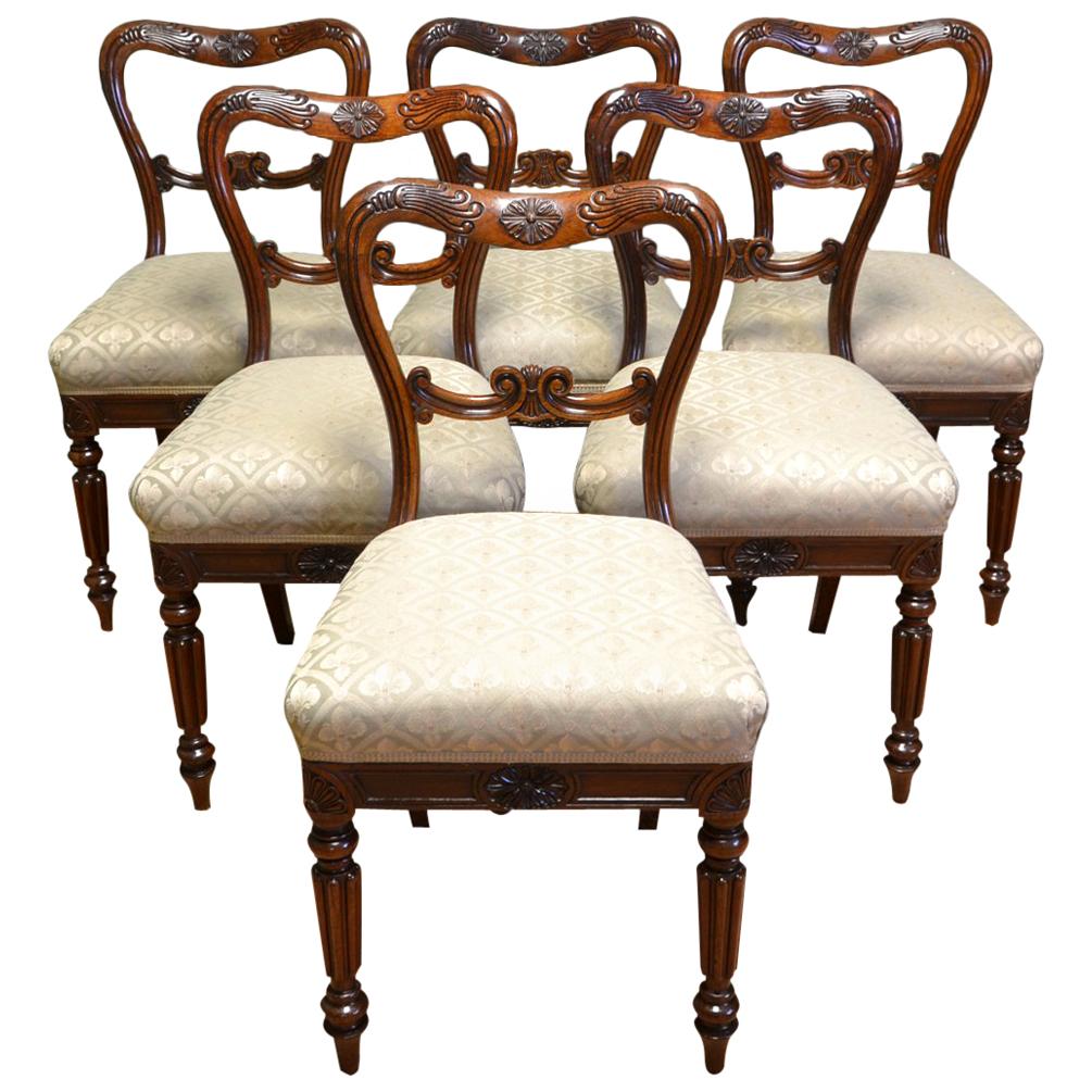 Set of Six Gillows Rosewood Antique William IV Dining Chairs
