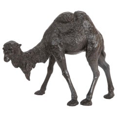 Asian Bronze of a Bactrian Camel