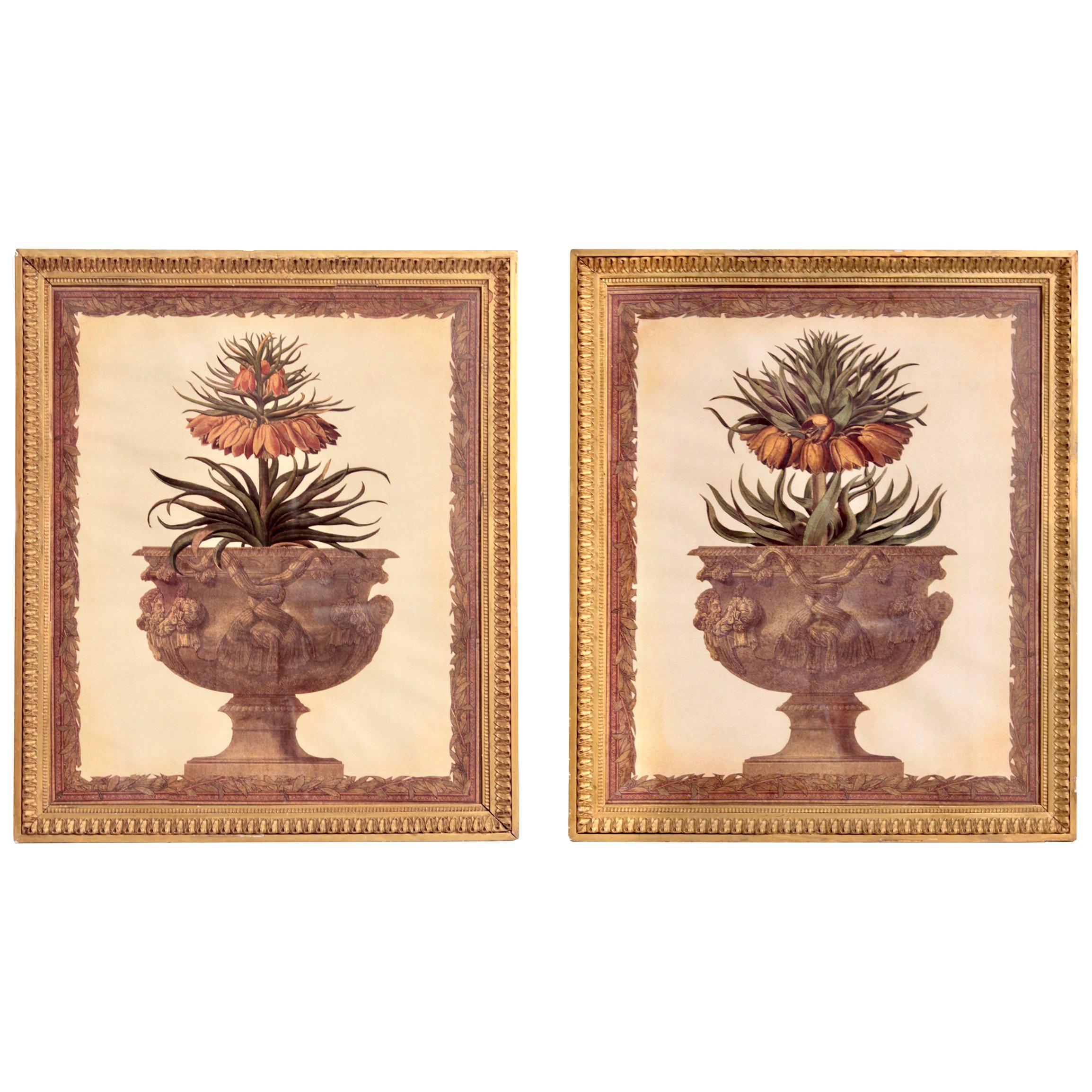 Pair of Flower Compositions, France, 19th Century For Sale