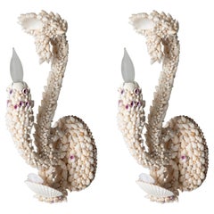Pair of Shell Art Sconces