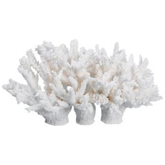 White Coral Sculpture or Centerpiece