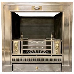 19th Century Regency Style Polished Steel Fireplace Insert