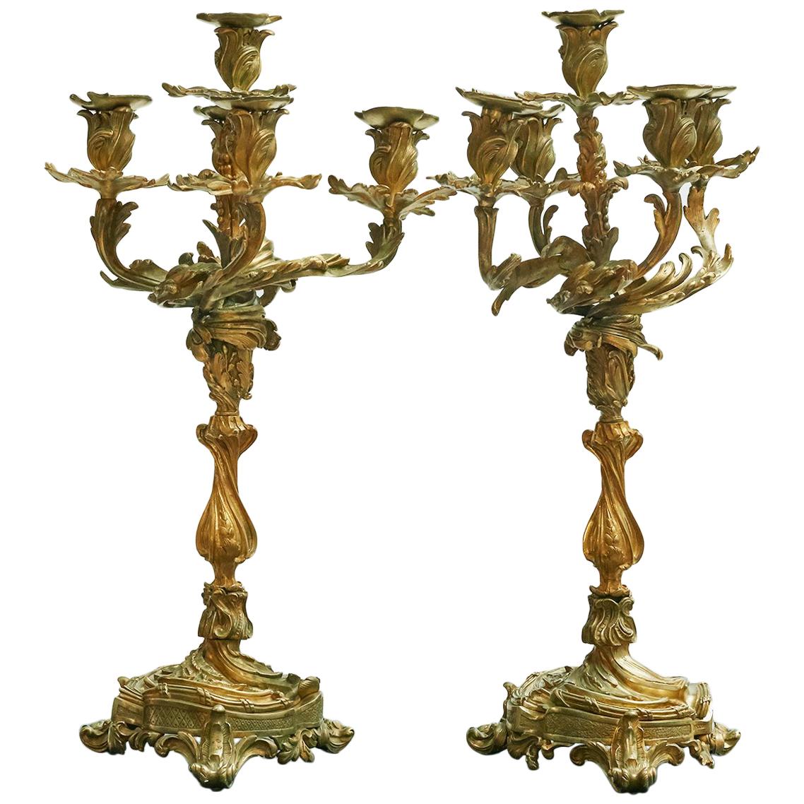 Pair of French New Rococo Gilt Bronze Candelabra with 5 Arms