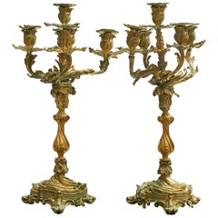 Pair of French New Rococo Gilt Bronze Candelabra with 5 Arms