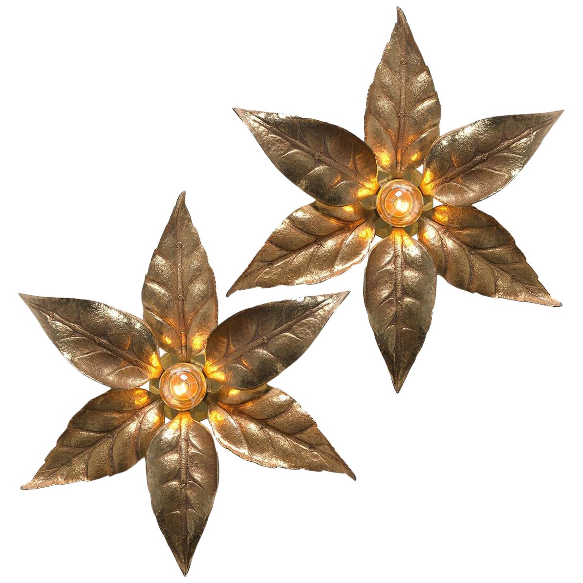 Pair of Willy Daro Style Brass Flowers Wall Lights by Massive Lighting, 1970