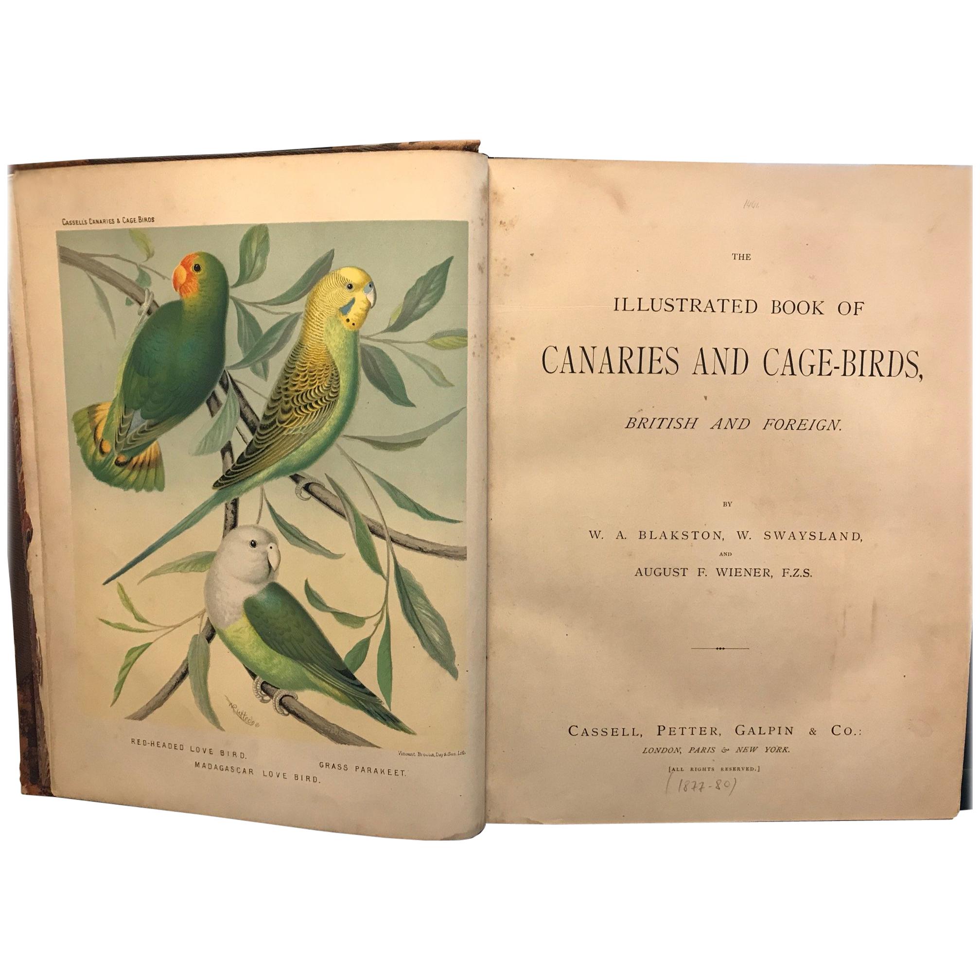 The Illustrated Book of Canaries and Cage-Birds, Britsh and Foreign For Sale