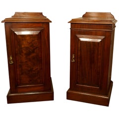 Used Near Pair of Victorian Walnut Bedside Cupboards