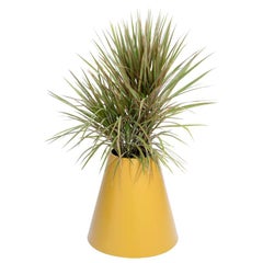 Cone Planter by Pieces, Jardinières en fibre de verre jaune