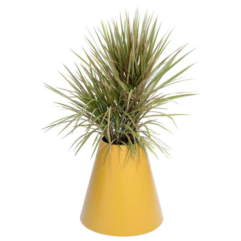 Cone Planter by Pieces, Yellow Fiberglass Planters For Sale