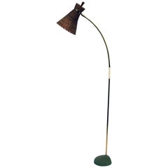Vintage Kiwi Floor Lamp