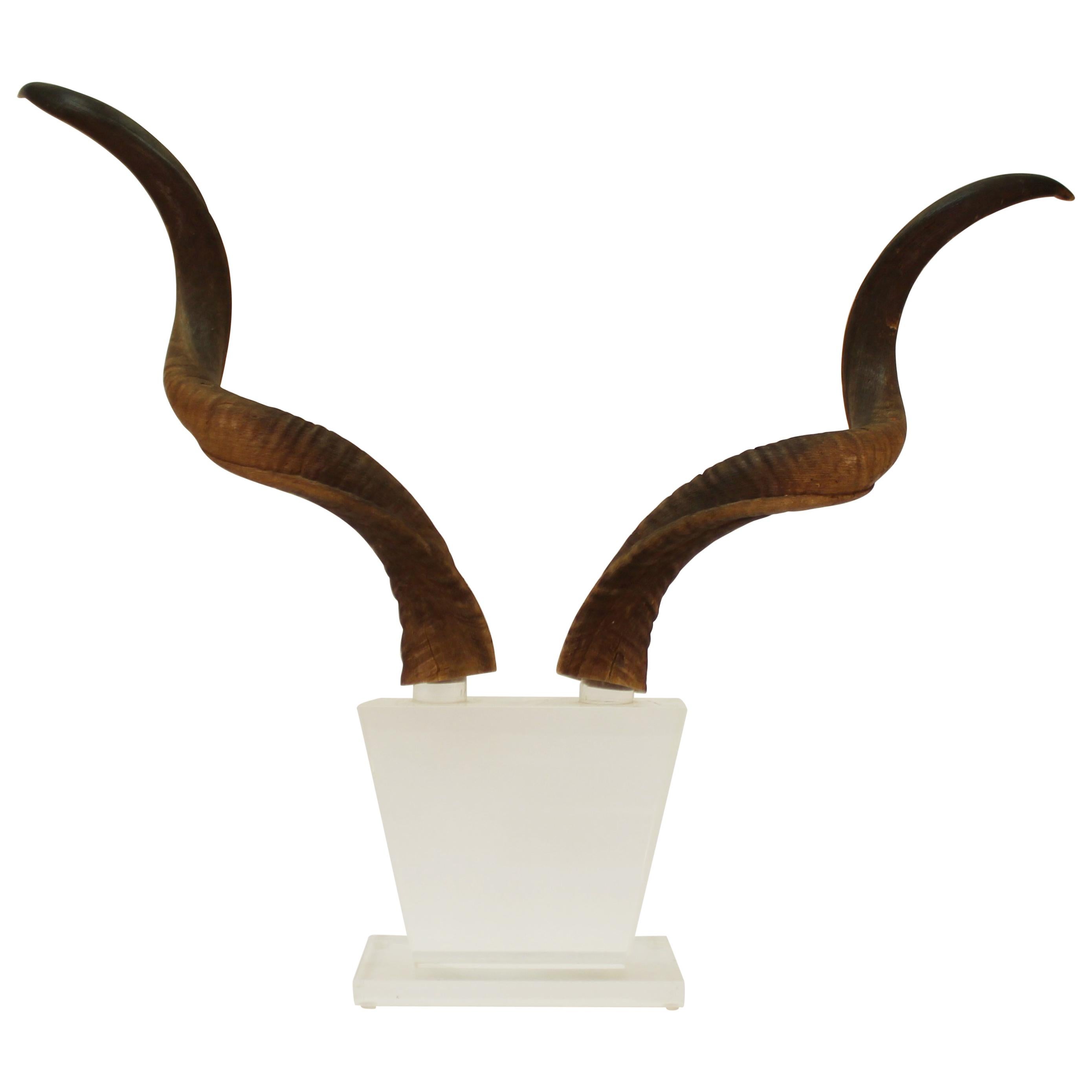 Mid-Century Modern Antelope Antlers on Lucite Stand For Sale