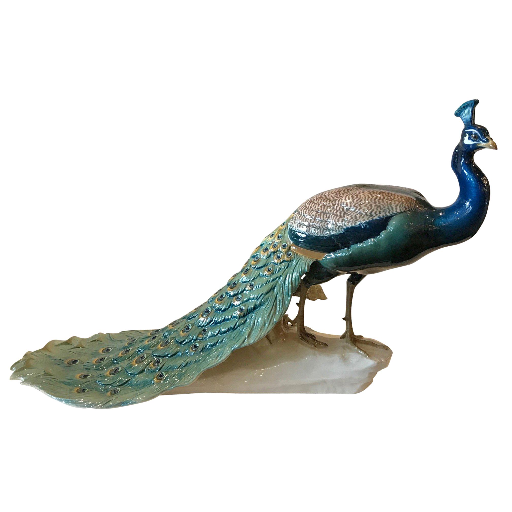 Extraordinary Nymphenburg Porcelain Peacock, Signed and Dated 1912