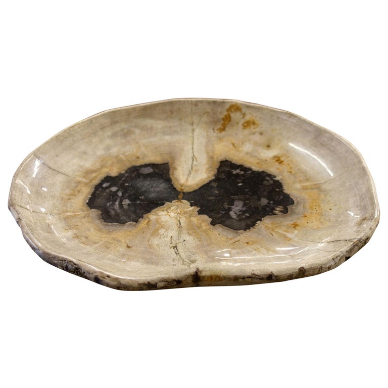 Petrified Wood Bowl, Indonesian, Contemporary at 1stDibs