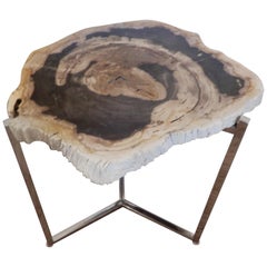 Artisan Crafted Petrified Wood and Chrome Table
