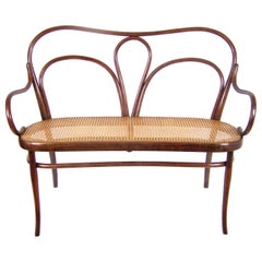 Canapé Art nouveau Thonet Nr.18:: vers 1918