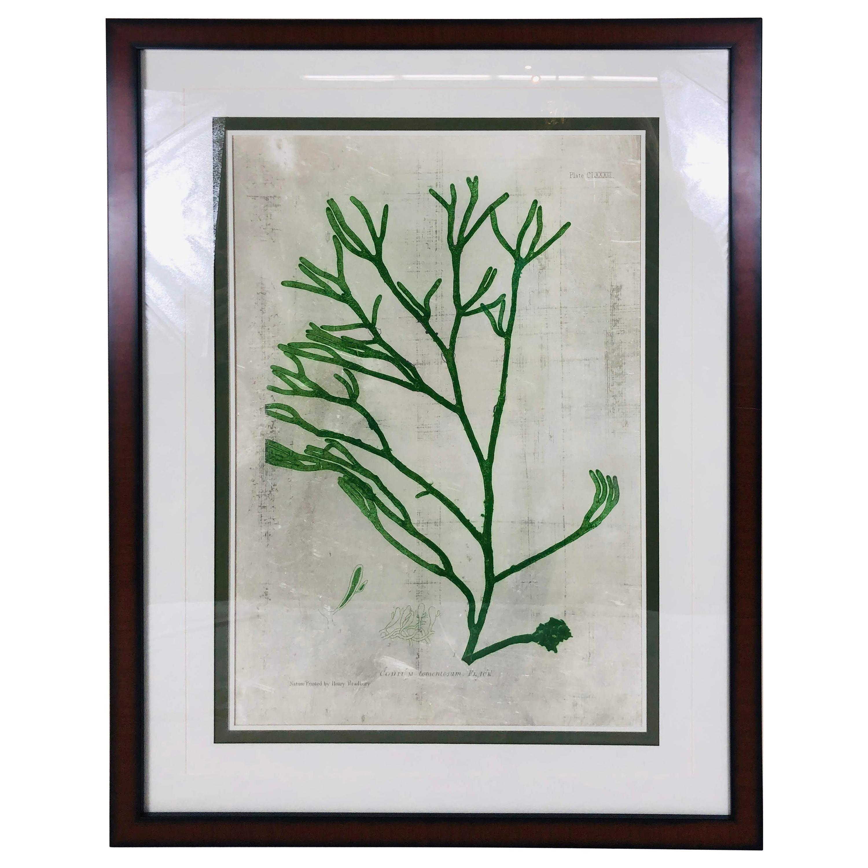 Green Botanical Print