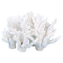 Weiße Korallen-Skulptur