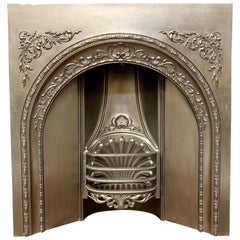 19th Century Mid-Victorian Cast Iron Arched Fireplace Insert