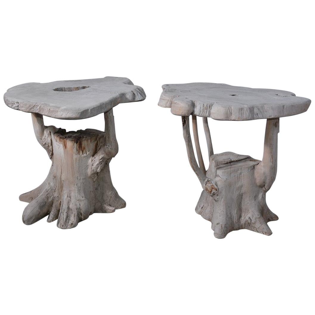 Modernist Organic Tree Root Table or Garden Seat