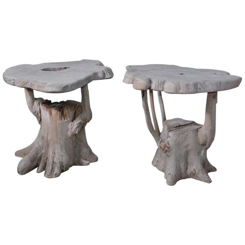 Modernist Organic Tree Root Table or Garden Seat at 1stDibs