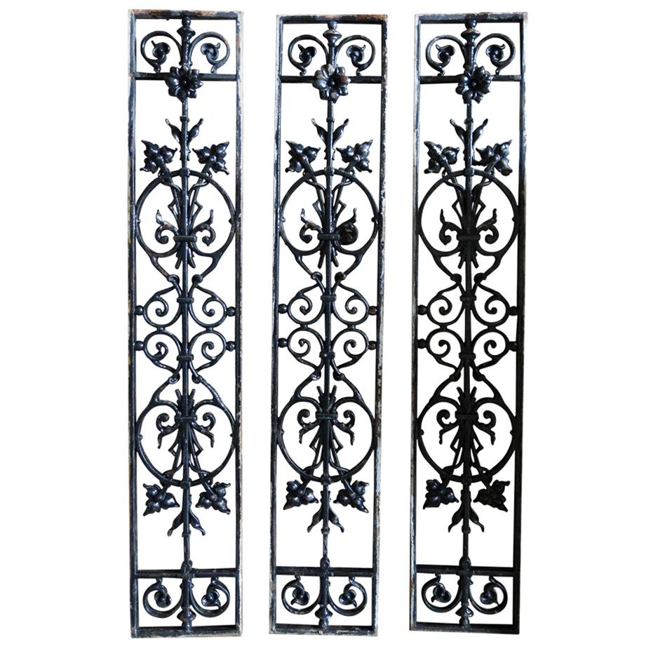 French Windows / Gates with Flowers in Iron circa 1850s, France For Sale