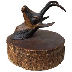 Rare Black Forest Alpine Ibex Wood Box, circa 1890