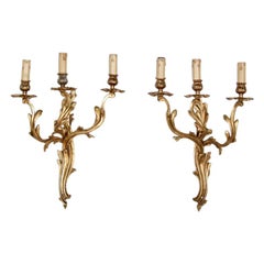 Large and Impressive Gilt Bronze Louis XV Style Sconces from Paris