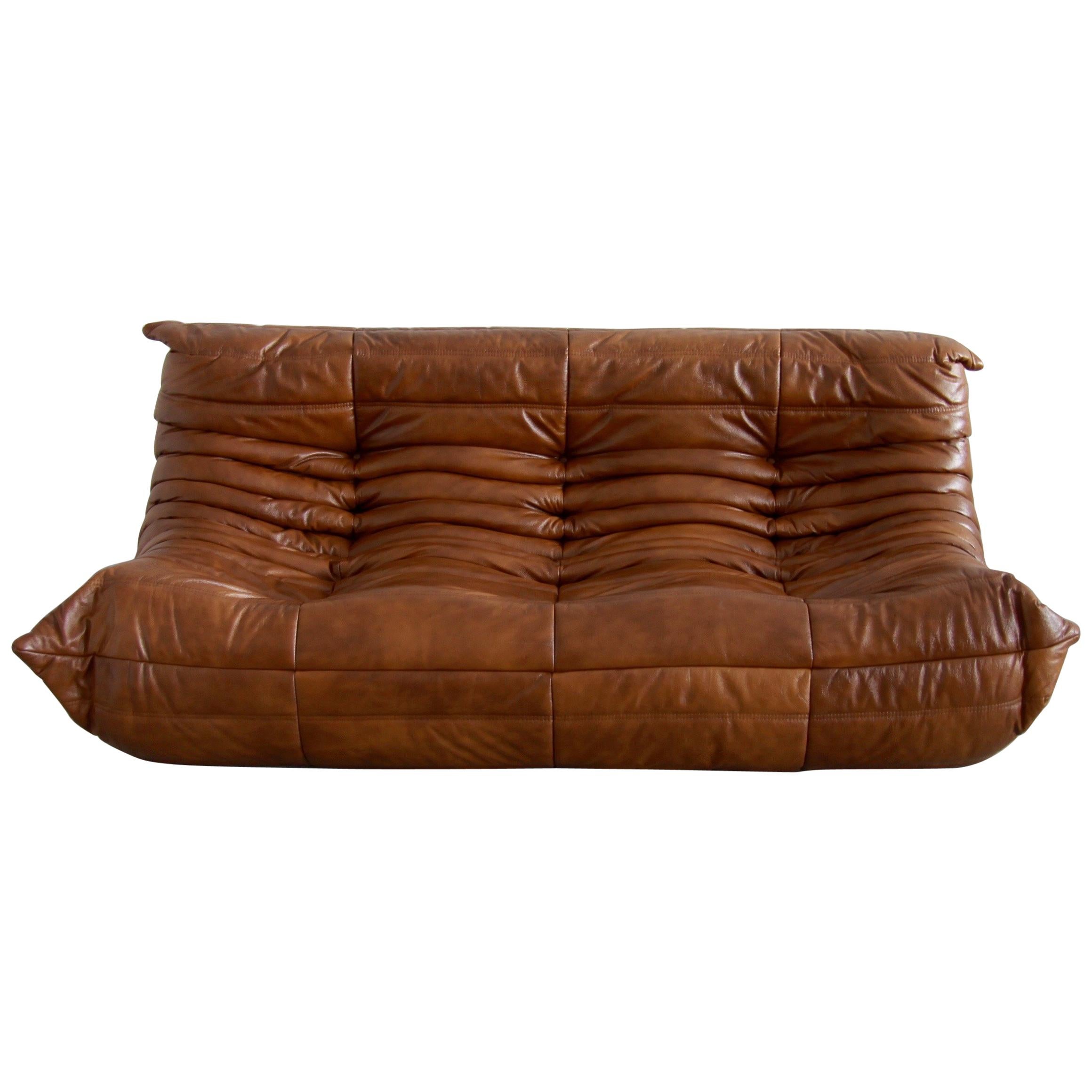 Togo 3-Seat Sofa in Whiskey Leather by Michel Ducaroy for Ligne Roset