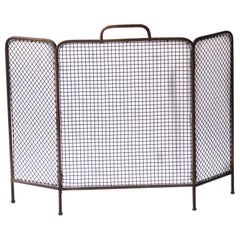 19th Century English Victorian Fireplace Screen or Fire Screen